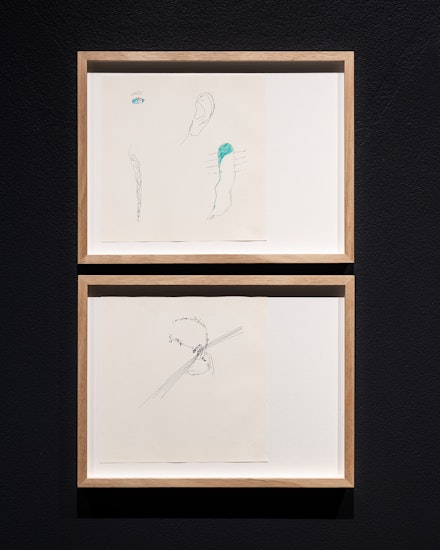 دیگرگونه Another Kind, 2013–ongoing, pen and ink on paper, dimensions variable. Courtesy the artist.