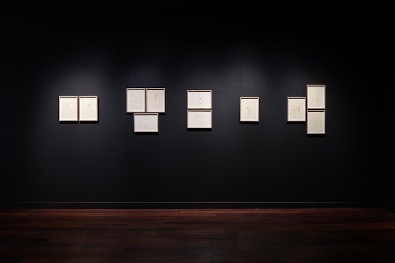 دیگرگونه Another Kind, 2013–ongoing, pen and ink on paper, dimensions variable. Courtesy the artist.