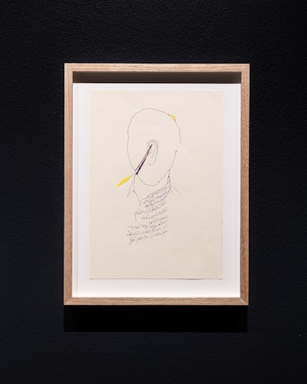 دیگرگونه Another Kind, 2013–ongoing, pen and ink on paper, dimensions variable. Courtesy the artist.