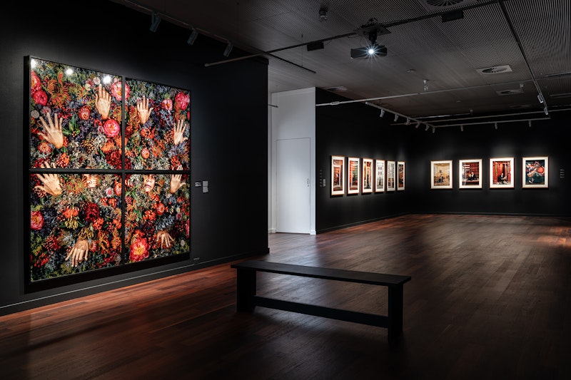 Dr Christian Thompson AO: House of Gold exhibition view, 2024