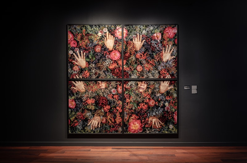 Double Happiness, 2021, C-type print on Fuji Pearl Metallic paper, four panels 255 x 255cm each. Courtesy Studio Dr Christian Thompson AO, Sarah Scout Presents, Melbourne, Michael Reid Gallery, Sydney and Berlin.