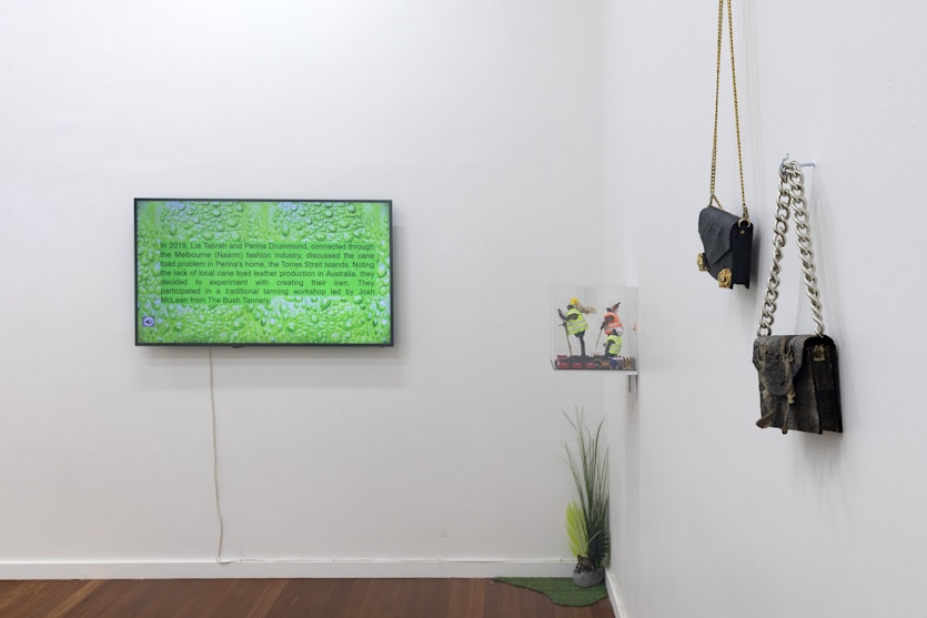 Lia Tabrah, ANTIVENOM: VERMIN (installation view), 2025. Commissioned by 4A Centre for Contemporary Asian Art