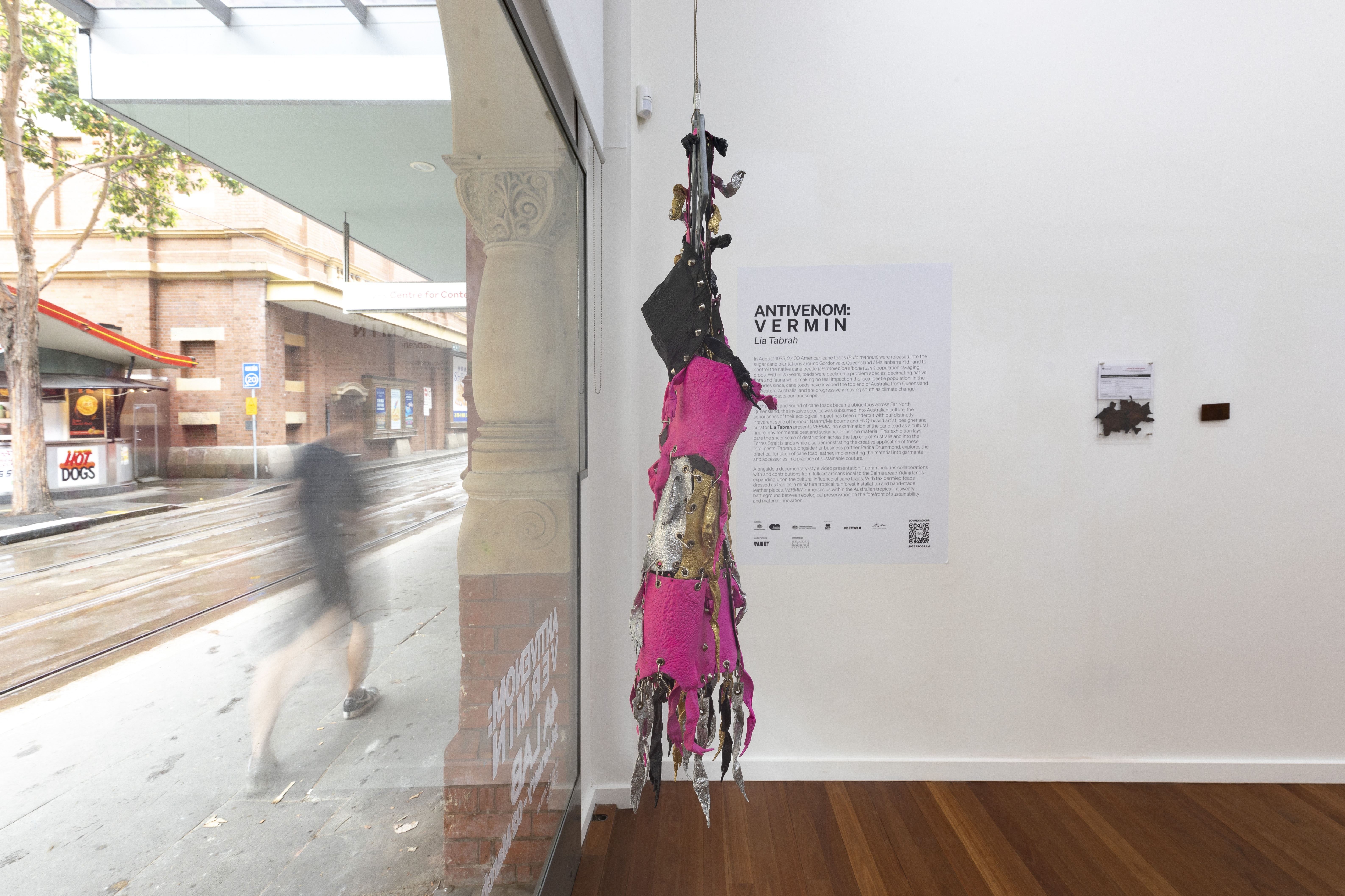 Lia Tabrah, ANTIVENOM: VERMIN (installation view), 2025. Commissioned by 4A Centre for Contemporary Asian Art