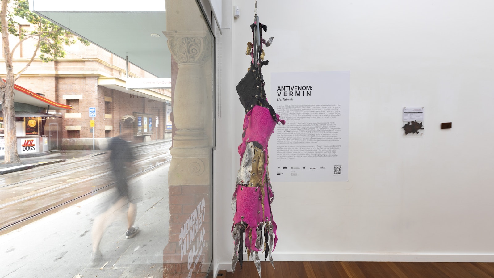 Lia Tabrah, ANTIVENOM: VERMIN (installation view), 2025. Commissioned by 4A Centre for Contemporary Asian Art