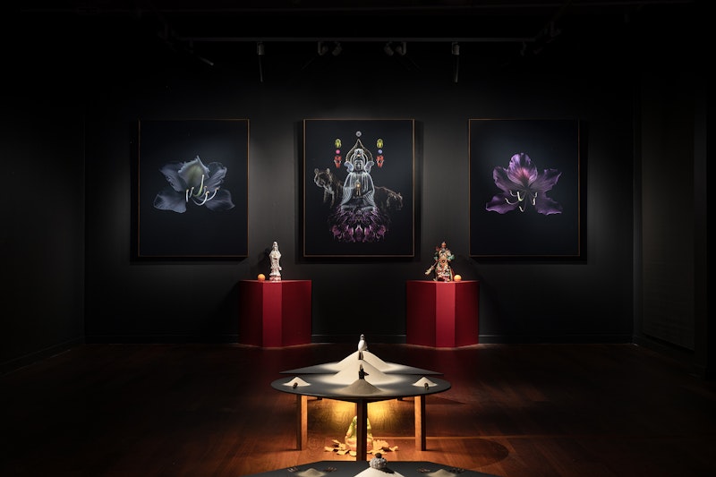 Man&Wah, Propagate/Germinate/Bloom (exhibition view), 2025, 4A Centre for Contemporary Asian Art. Image: Kai Wasikowski