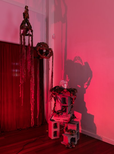 Winnie Cheung, Last Call (exhibition view), 2025, 4A Centre for Contemporary Asian Art. Image: Kai Wasikowski