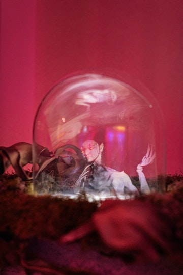 Winnie Cheung, Last Call (exhibition view), 2025, 4A Centre for Contemporary Asian Art. Image: Kai Wasikowski