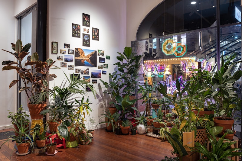Man&Wah, Dreamings & Offerings of the Earthly Realm, 2025, site specific mixed-media installation. Image: Kai Wasikowski
