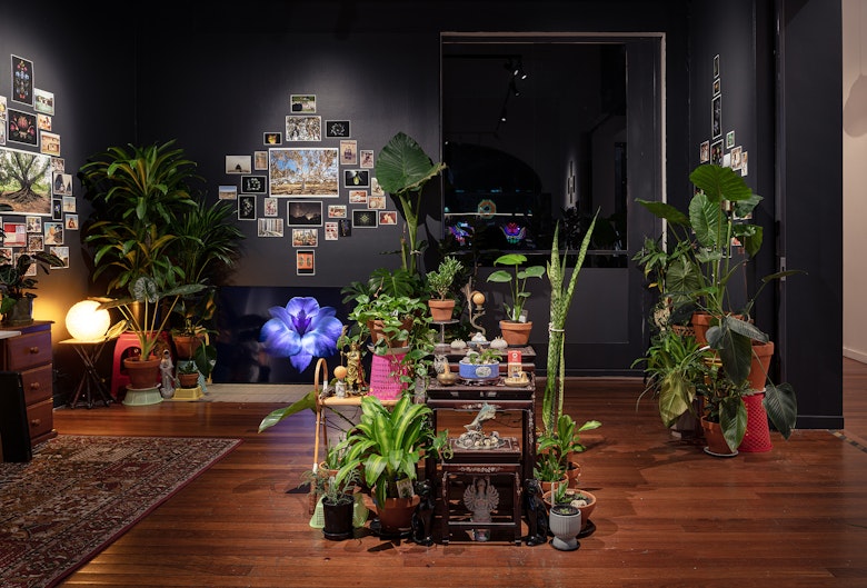 Man&Wah, Dreamings & Offerings of the Earthly Realm, 2025, site specific mixed-media installation. Image: Kai Wasikowski