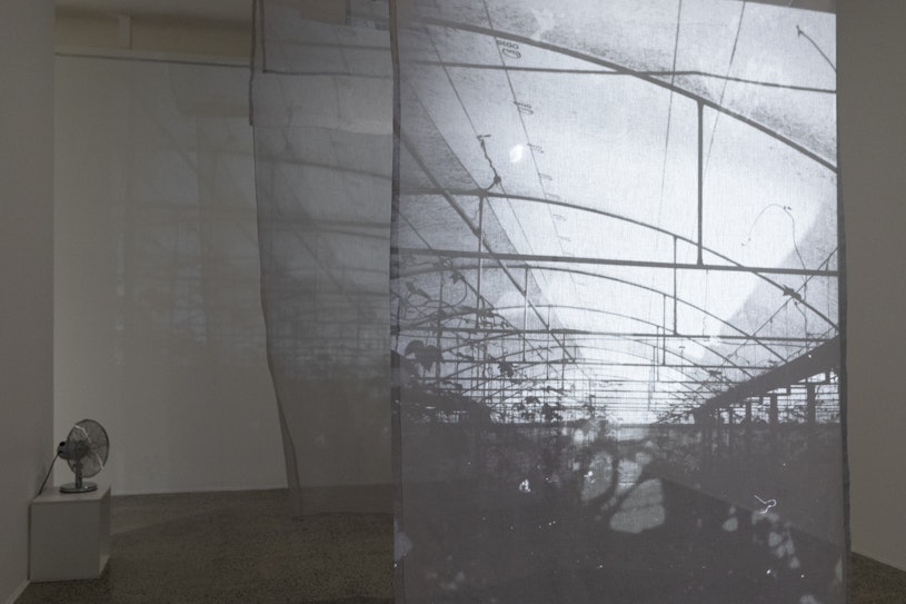 Allison Chhorn, Disintegrate/Regenerate (‘Memory House’ Revisited) (detail), 2025, single-channel video, 12 min, 35mm black and white photographs, sheer linen. Produced by Chris Luscri. Courtesy of the artist.