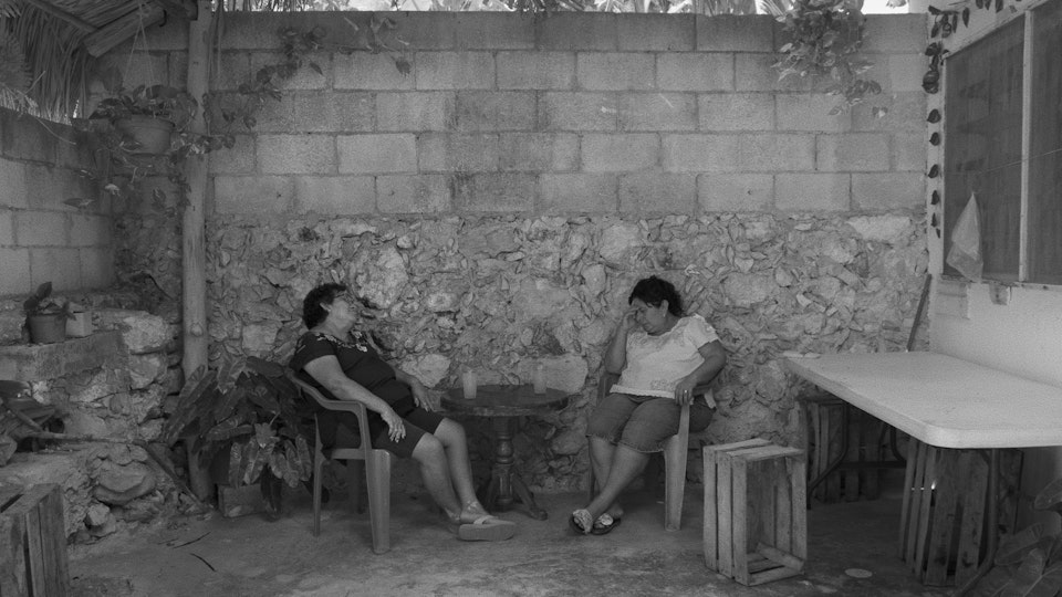 Grace Tan, A Daydream with Fini (still), 2024