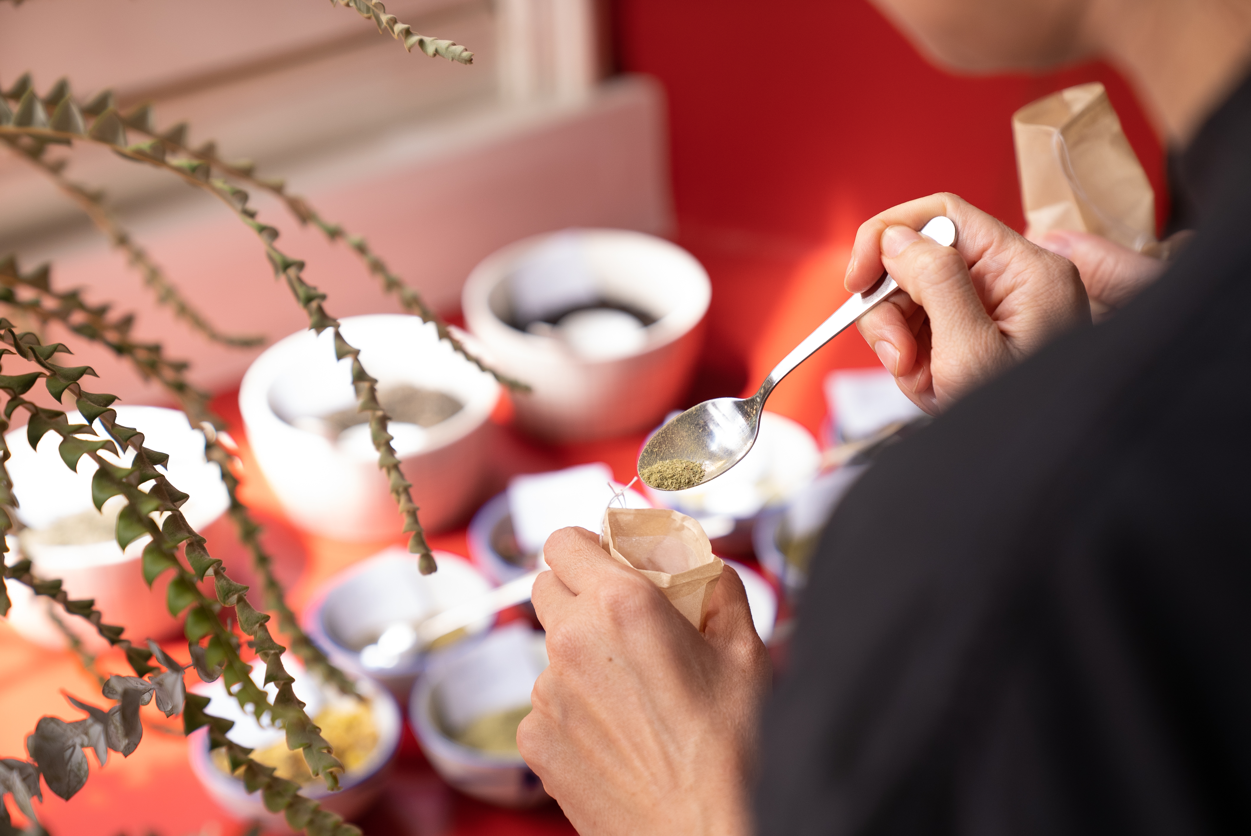 <p>Pause, A Sweet Offering:&nbsp;<br>Nguyễn Ngọc Thảo</p>