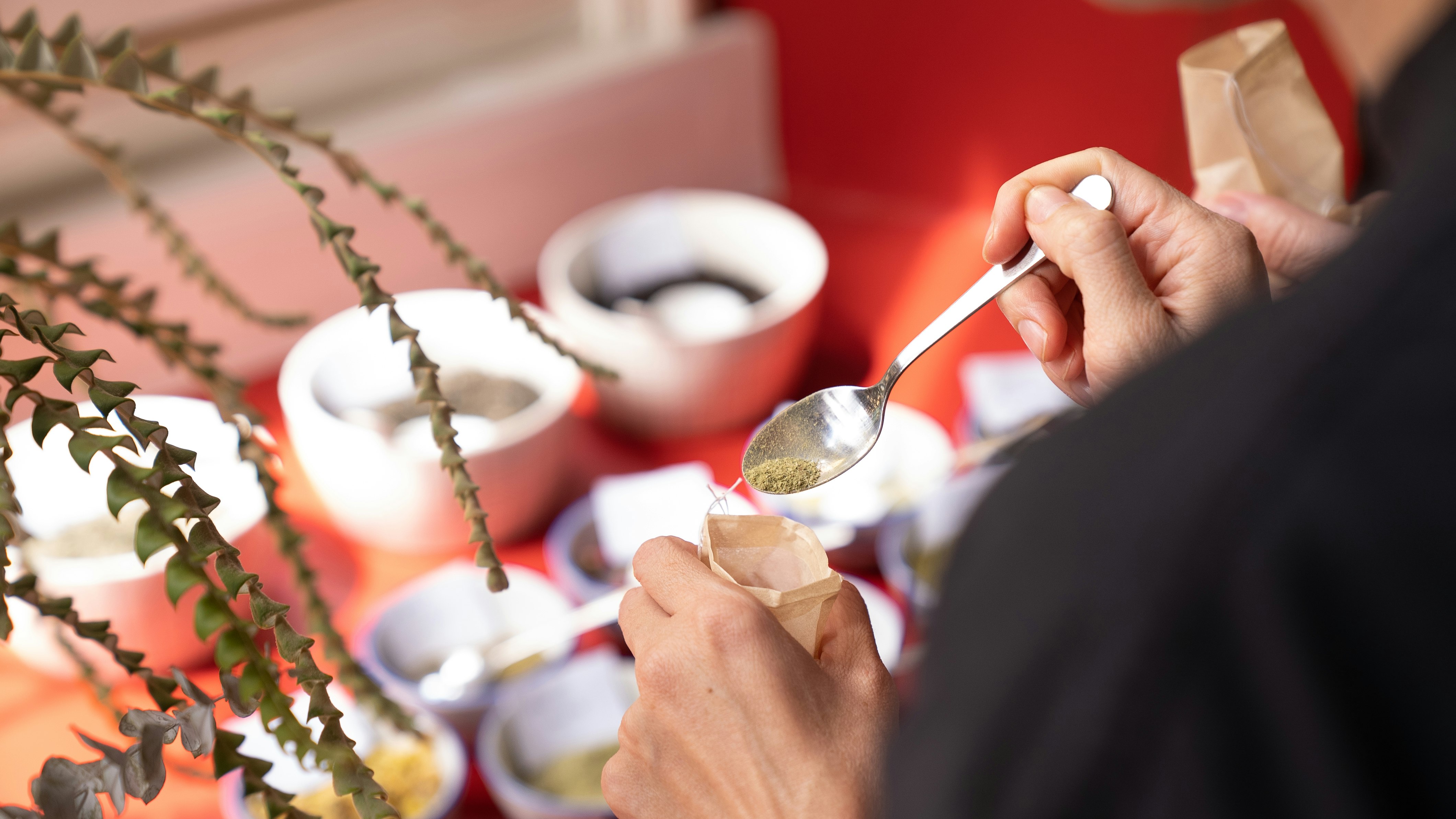 <p>Pause, A Sweet Offering: <br>Nguyễn Ngọc Thảo</p>