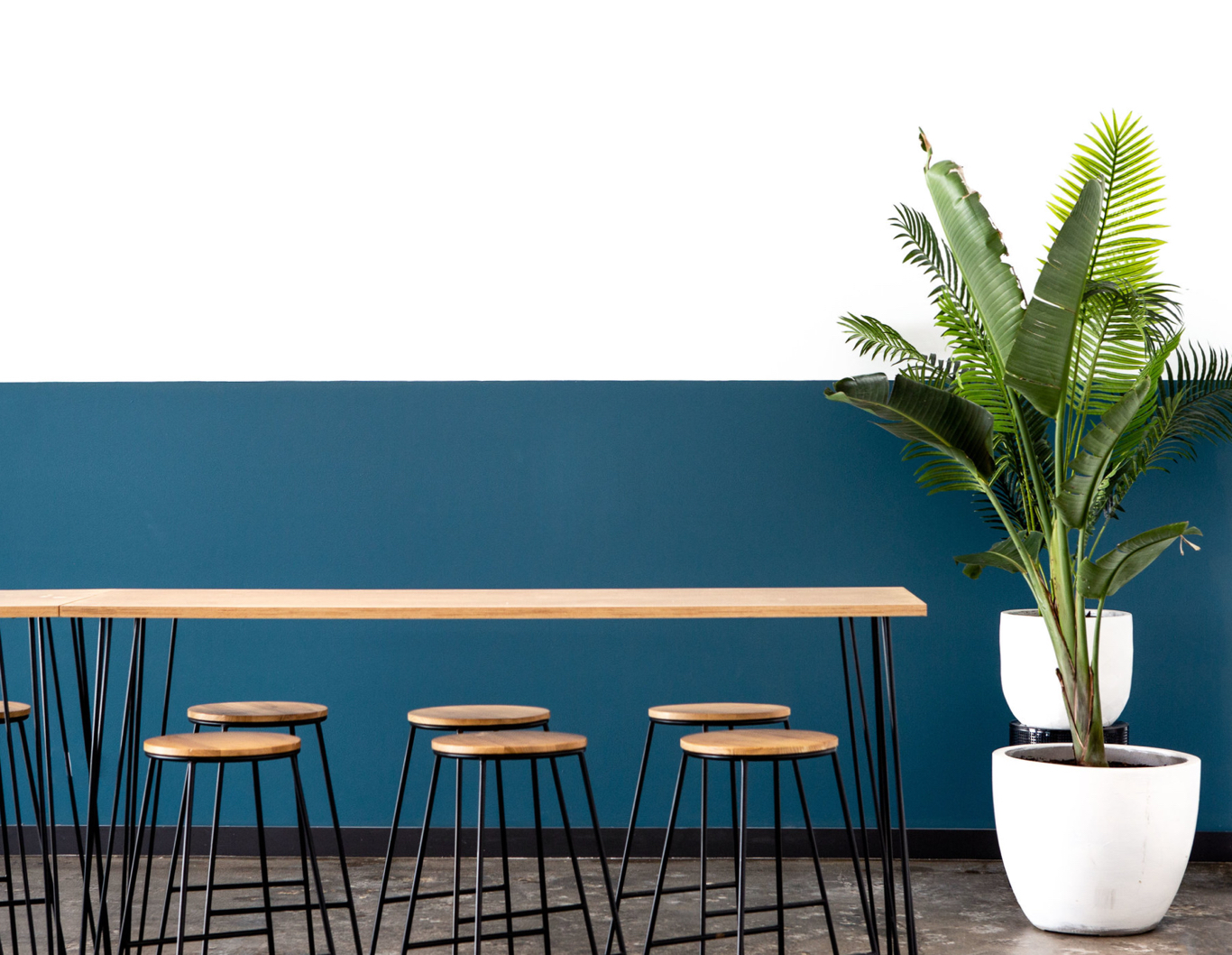 Blue and white feature wall at Luna Event Space.