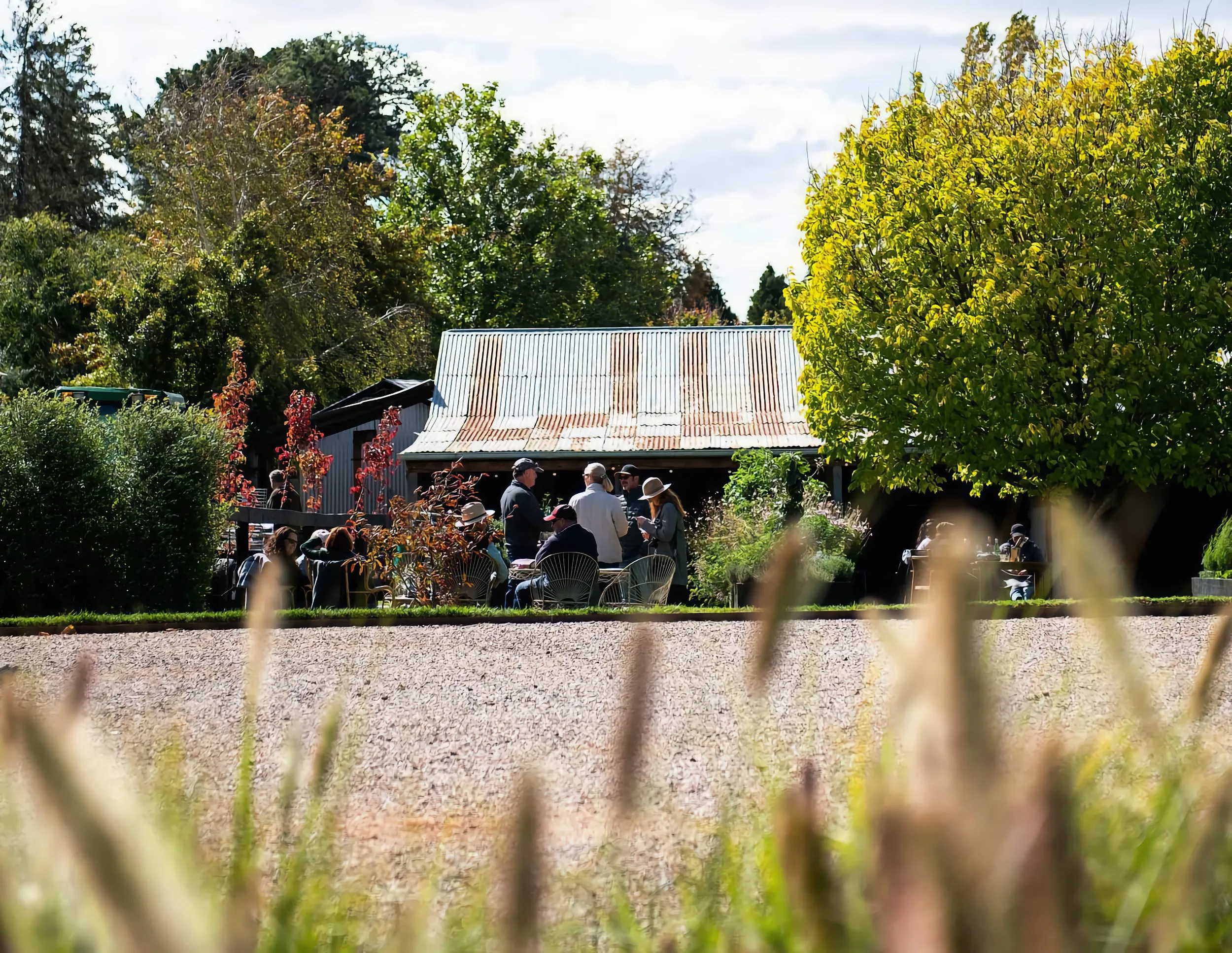 Rustic shed in the gardens of Rowlee Wines.