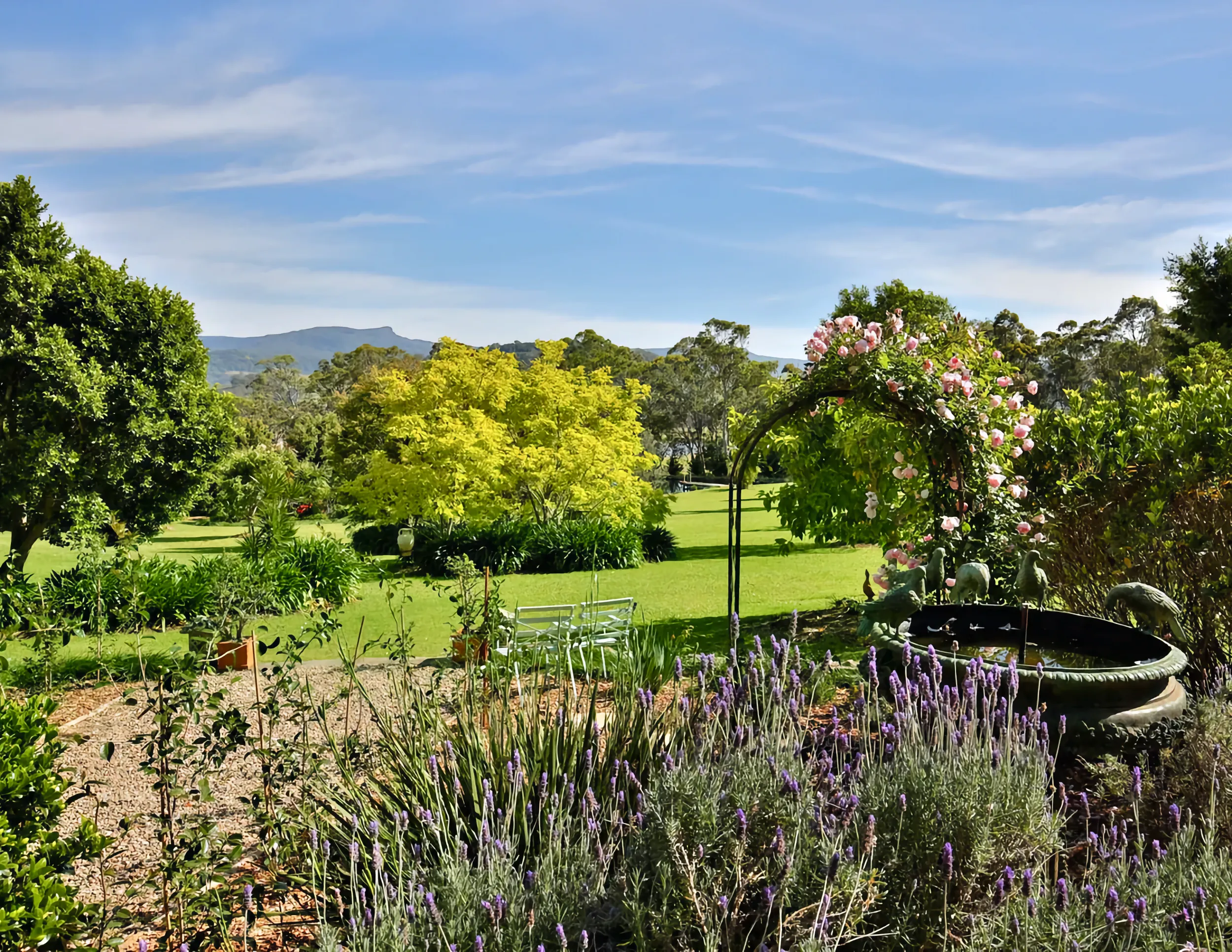 Garden at Berry Beach Holiday Cottage.