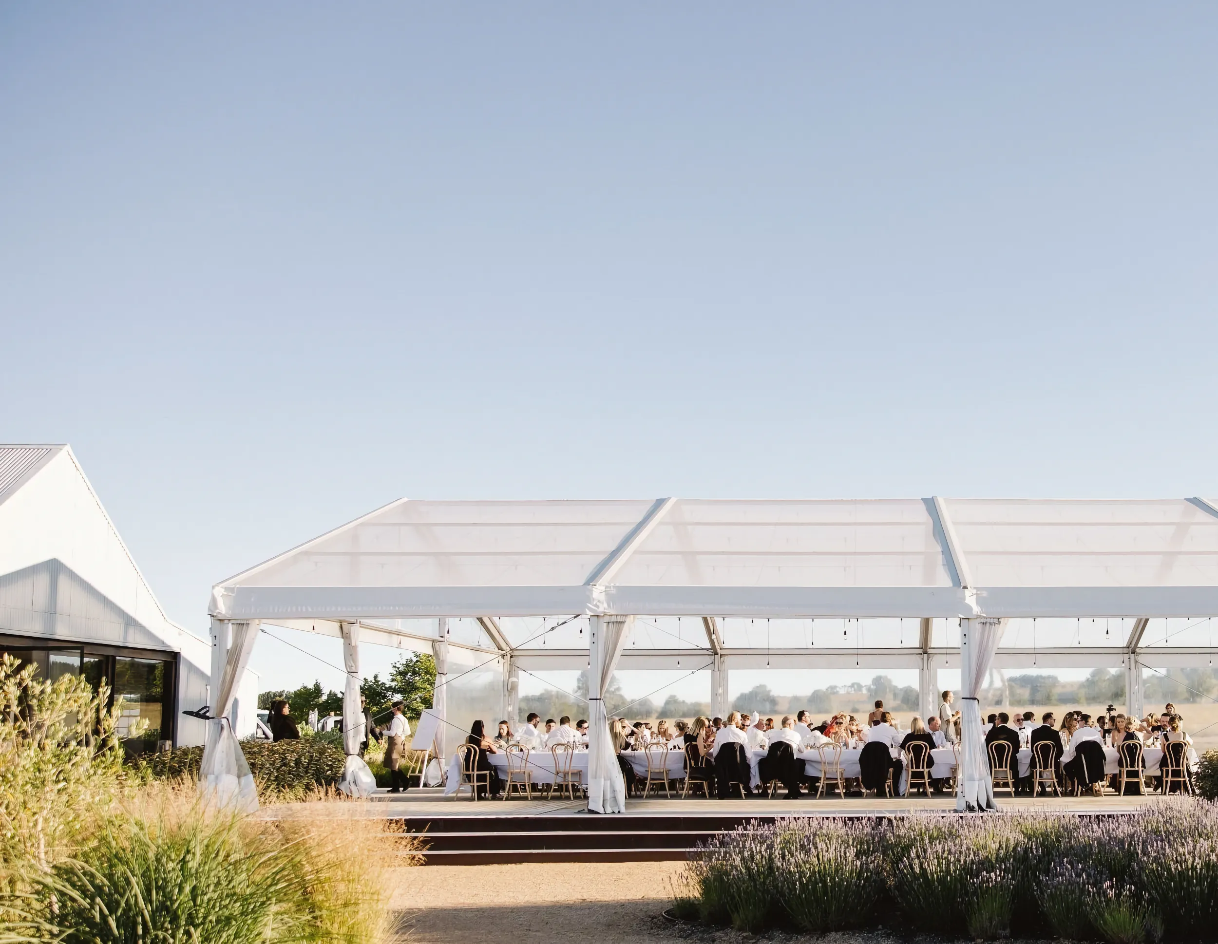 Marquee in the gardens of Mona Farm.