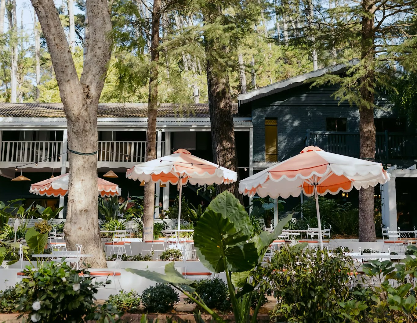 Exterior of The Lodge