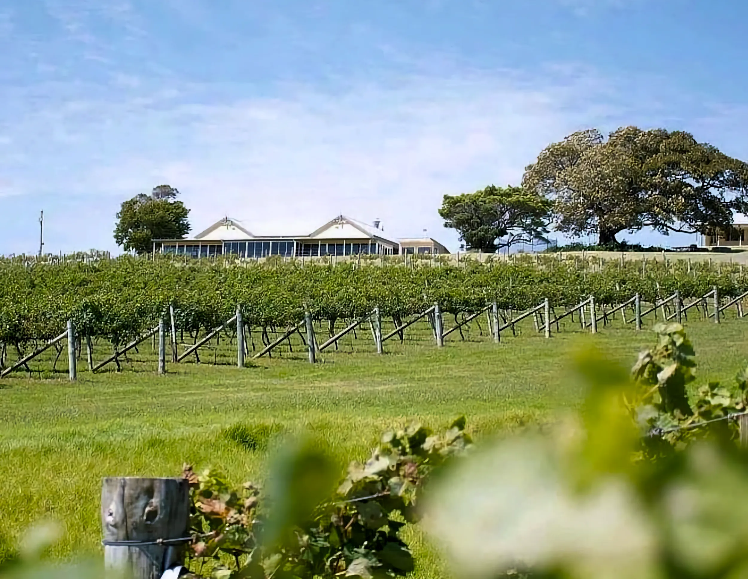 Vineyards at Crooked River Wines