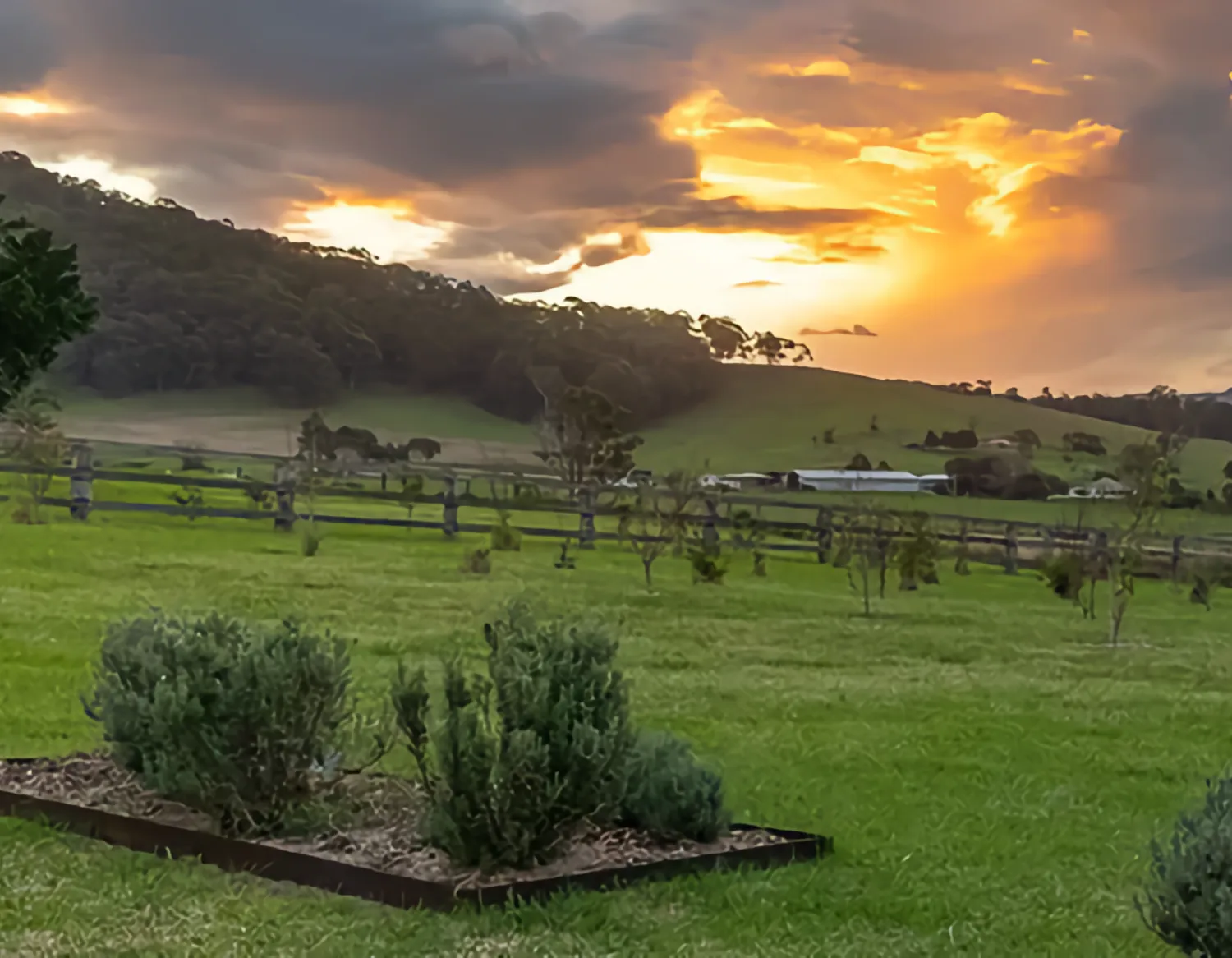 Sunset over Mountain Ridge Wines