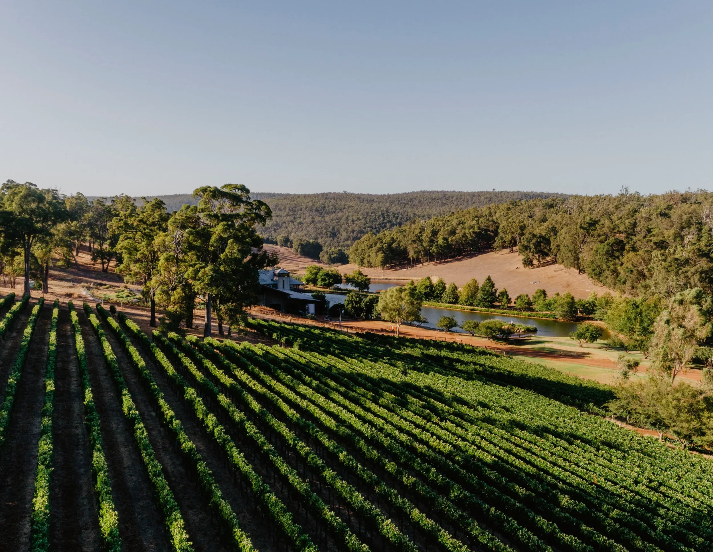 Vineyards at Milbrook