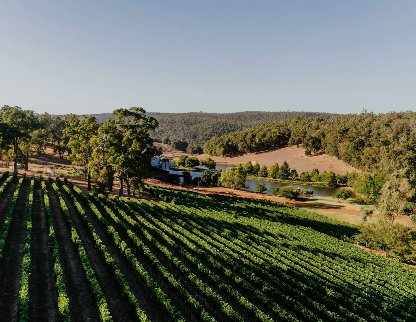 Vineyards at Milbrook