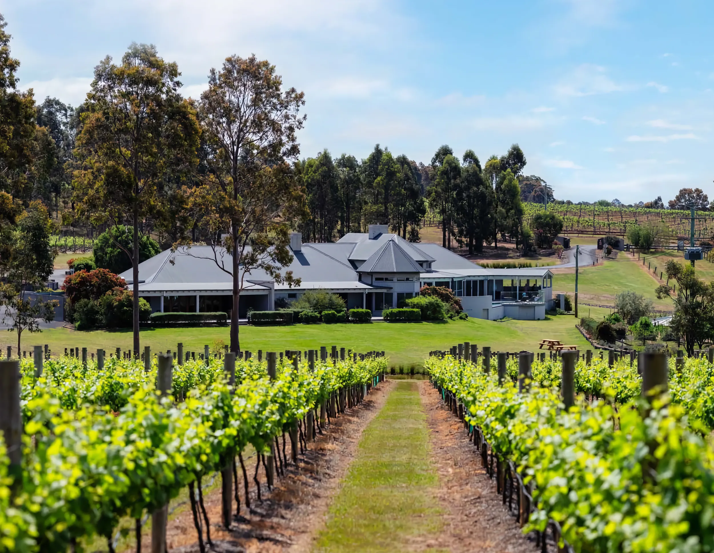 Vineyard at RidgeView
