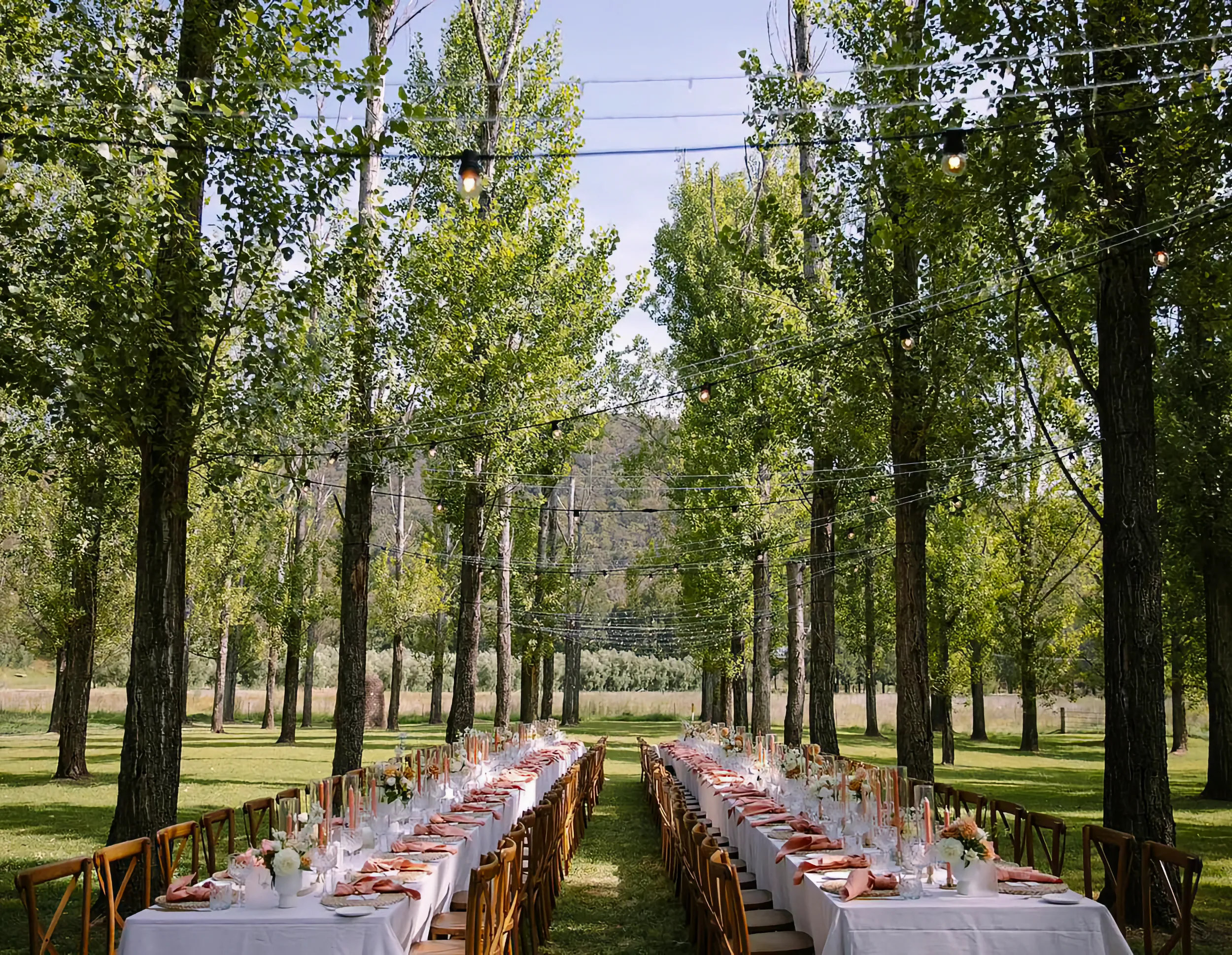Outdoor reception at Stonehurst