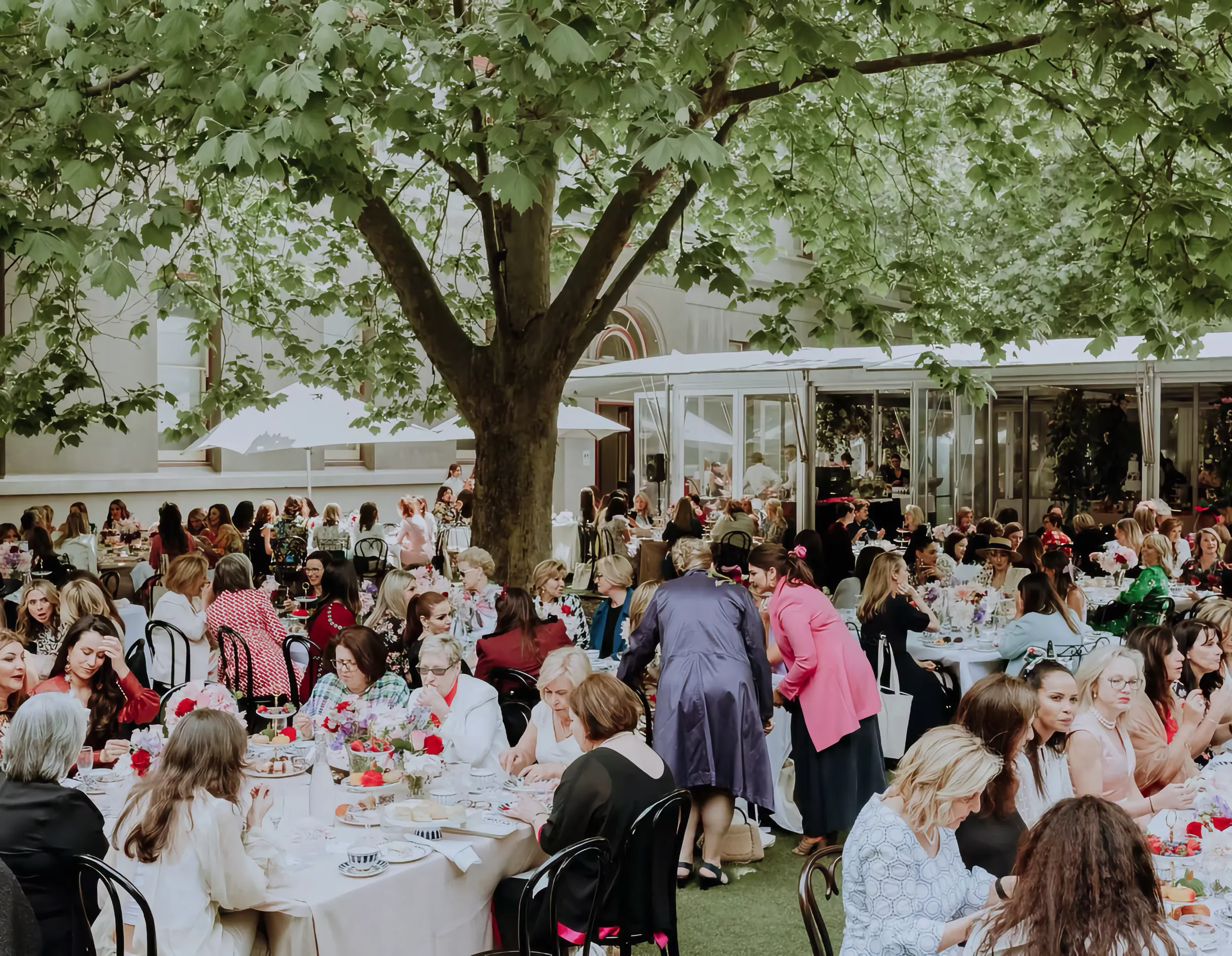 Outdoor reception at the Hellenic Museum