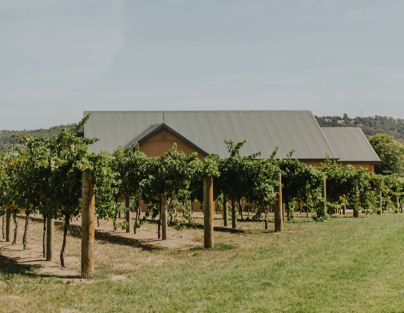 Exterior of Vue on Halcyon