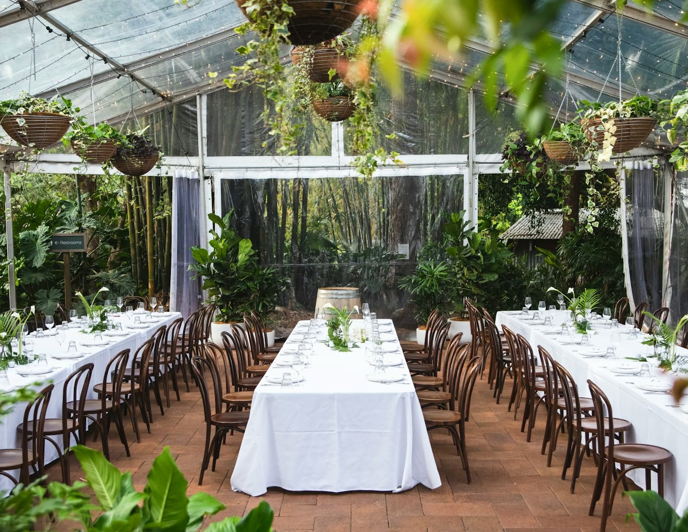 Wedding reception at Wild Canary