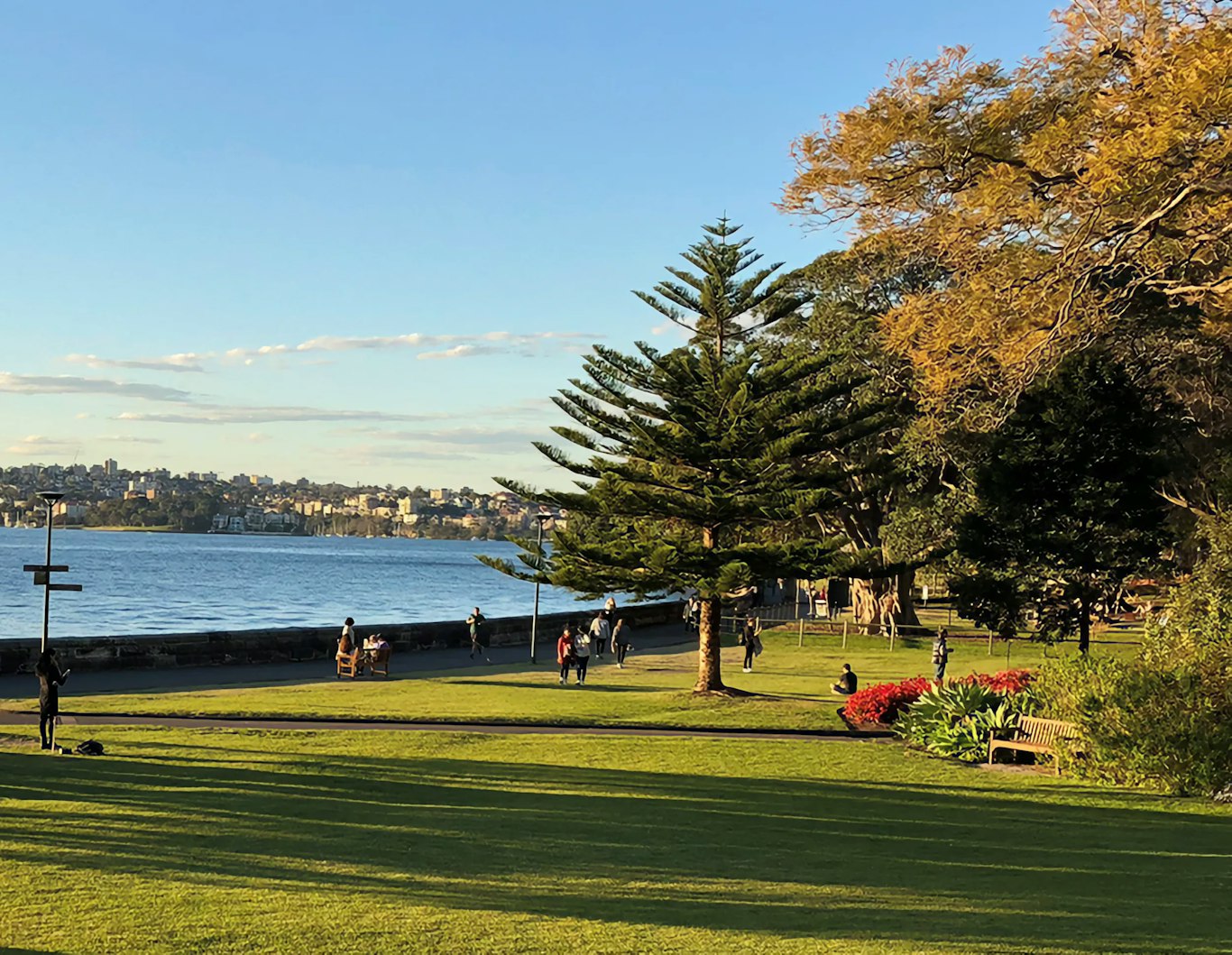 Water views from the Royal Botanic Garden Sydney