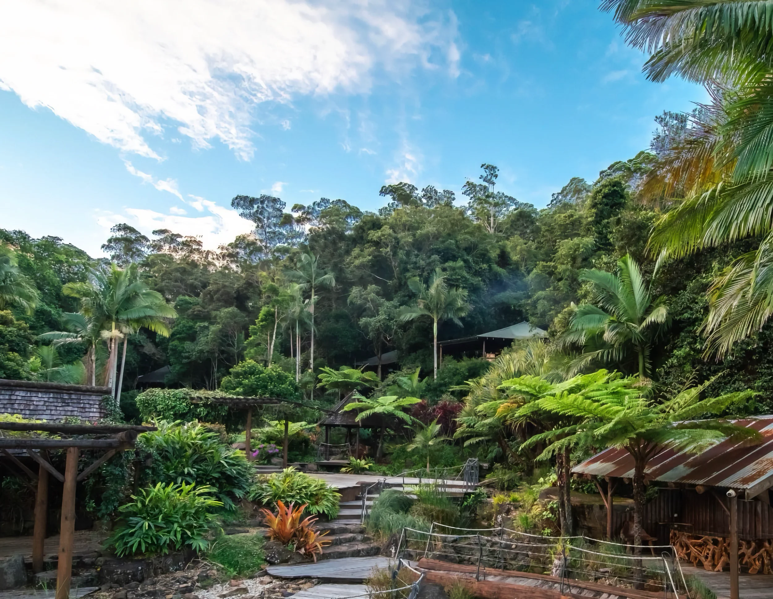 Rainforest backdrop at Secrets on The Lake