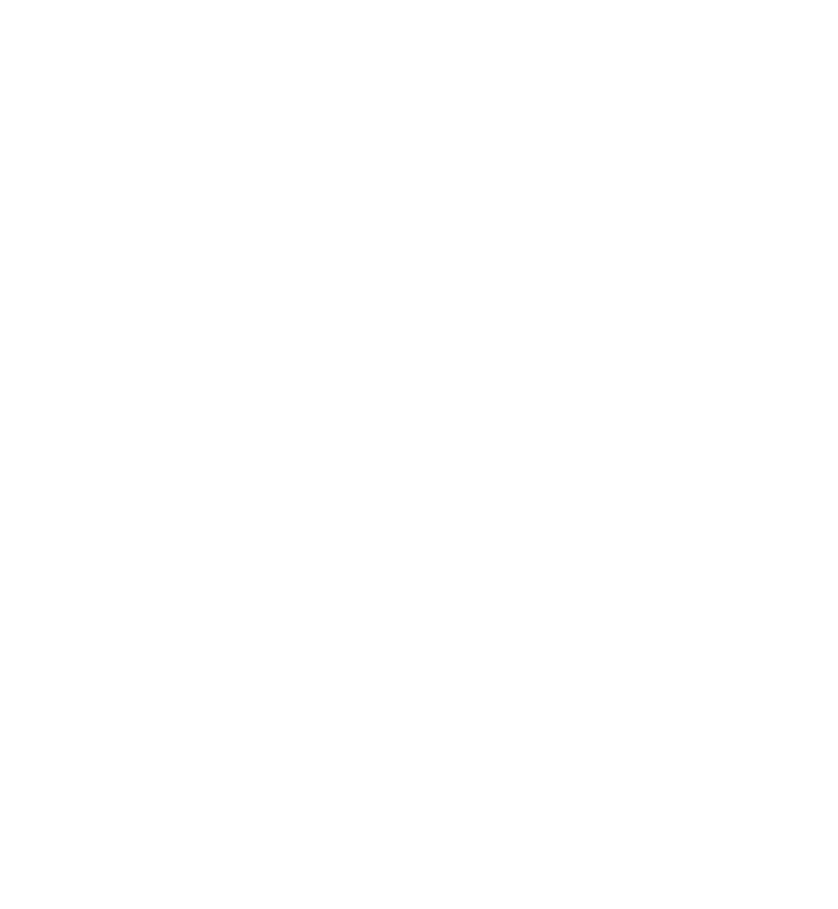 Cocktail icon