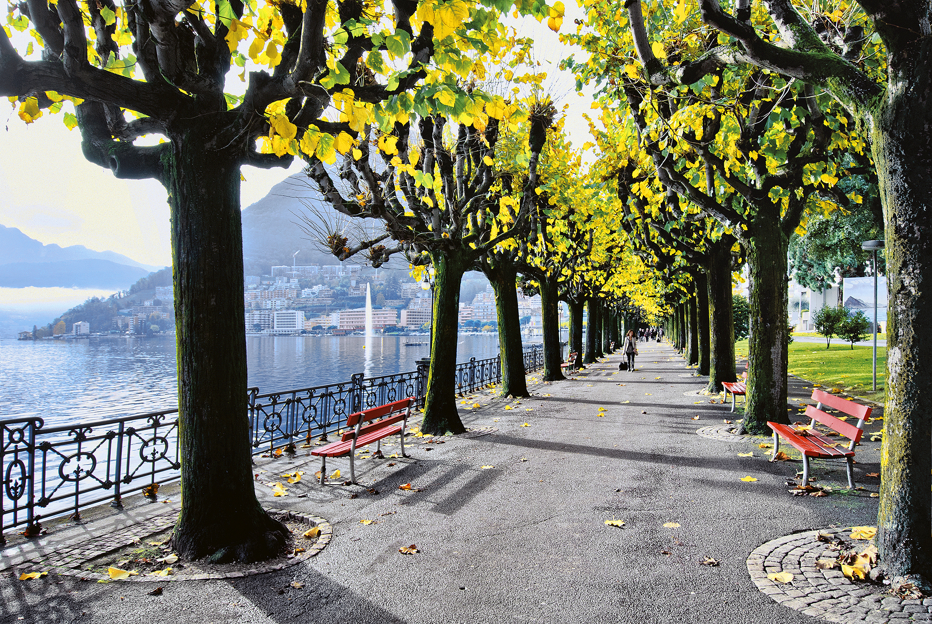 Cover Image for Lugano Dante
