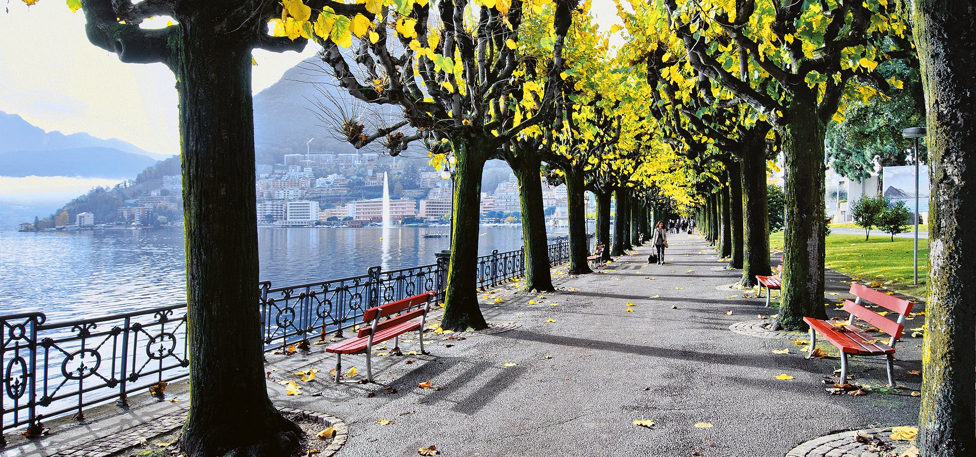 Cover Image for Lugano Dante