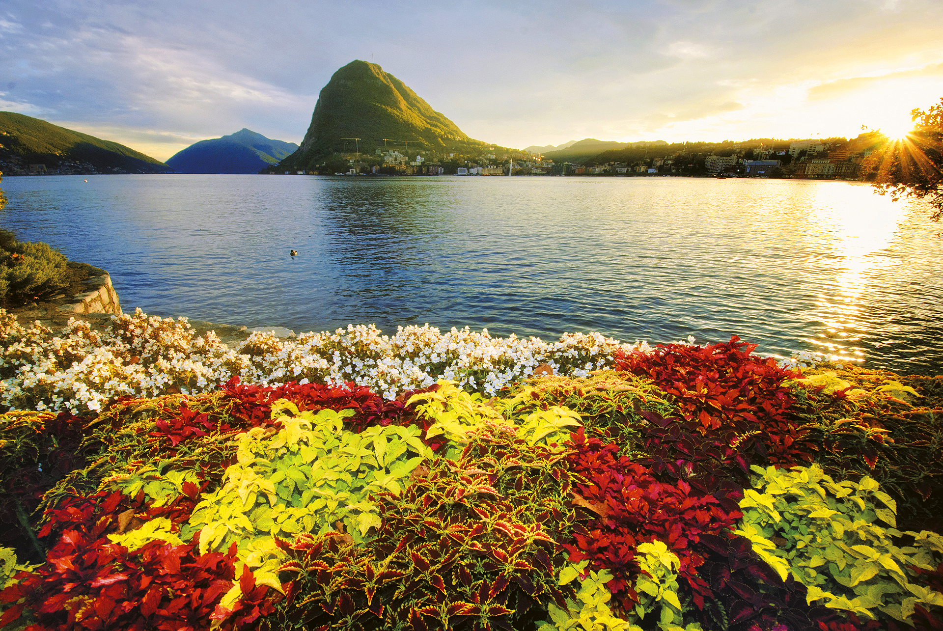 Cover Image for Lugano Dante