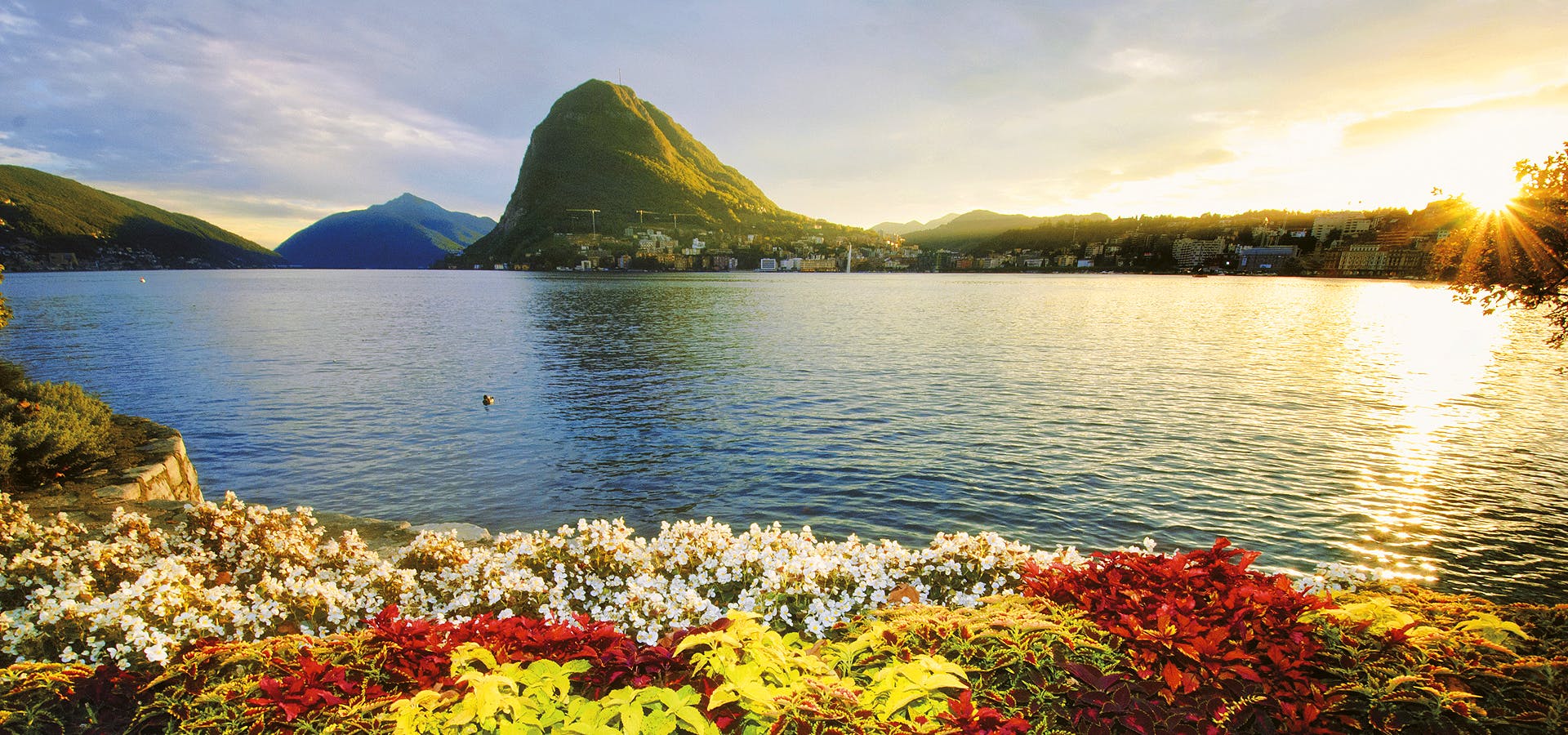 Cover Image for Lugano Dante