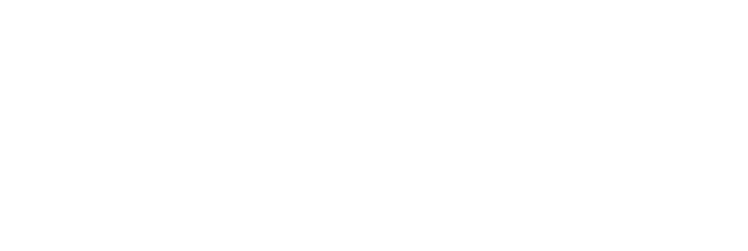 Lokkal logo