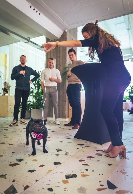 Photo of people watching a dog biting a piece of silver rope