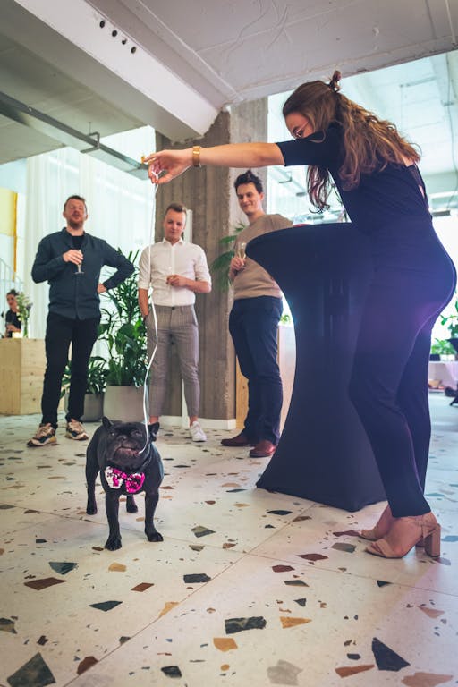 Craftzing homecoming Photo of people watching a dog biting a piece of silver rope