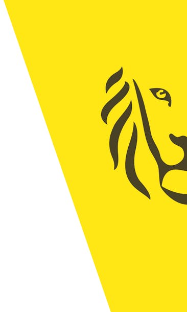 Logo Flemish Government