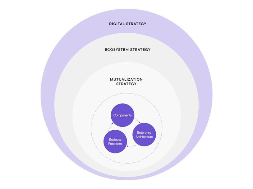 Visual of the 3 layered approach of Craftzing towards strategy and product innovation. This approach consists of an outer layer: digital strategy, a middle layer: ecosystem strategy and an inner layer: mutualization strategy