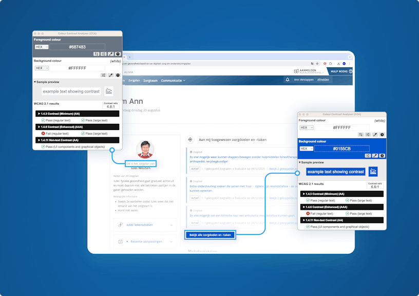 Interface of Alivia with accessibility checks we performed.