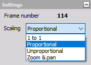 DewesoftX video scaling options DewesoftX video scaling options