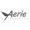 Aerie Aerospace logo