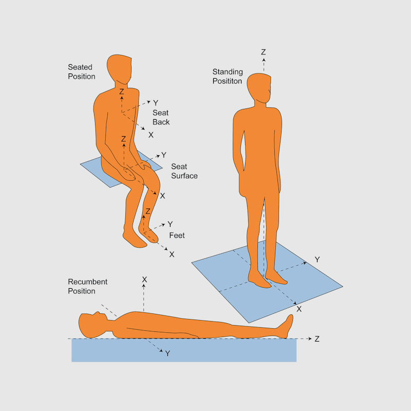 Human body vibrations whole body measurement