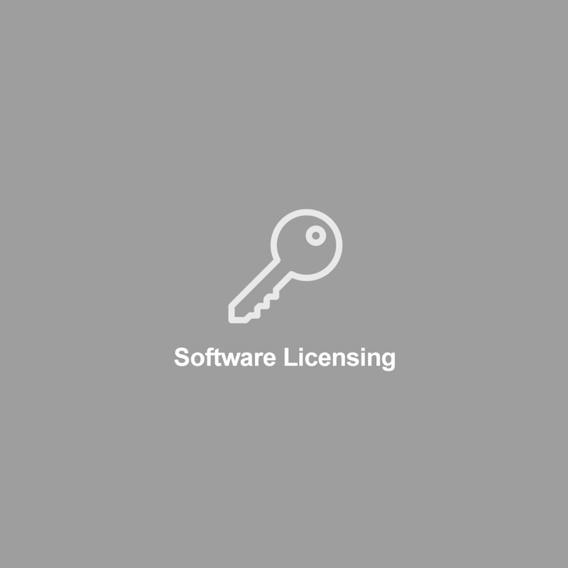 DewesoftX software licensing