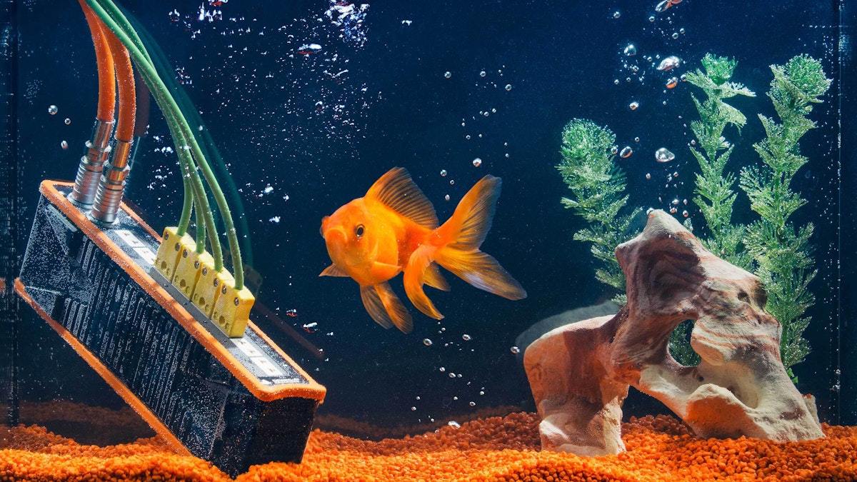 What Is Thermocouple Sensor and How Does It Work Circuit Diagram