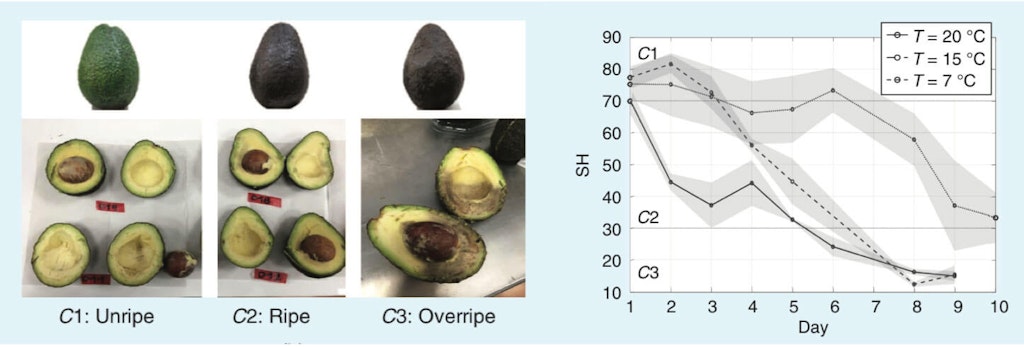Figura 1. Proceso de maduración de la fruta: a) Ejemplo de aguacates en tres etapas de maduración relevantes yb) Firmeza de la fruta medida a través de un durómetro Shore (SH) vs día de maduración para frutas almacenadas en tres condiciones ambientales diferentes.